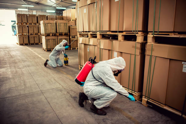 Best Wildlife Control Services  in Stacy, MN