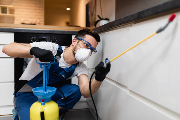 Best Best Pest Control Companies  in Stacy, MN