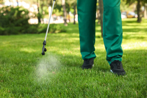 Best Mosquito Control Services  in Stacy, MN