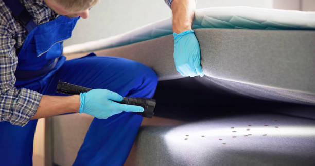 Best Pest Inspection Near Me  in Stacy, MN