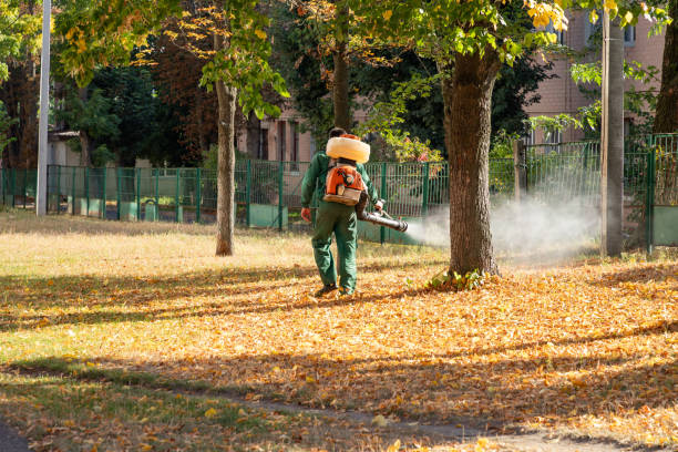 Best Pest Removal Services  in Stacy, MN