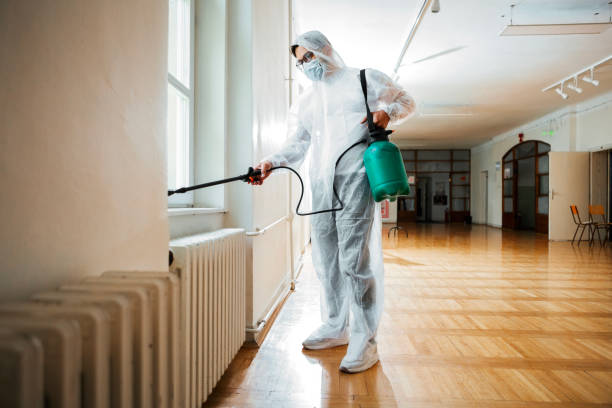 Best Residential Pest Control  in Stacy, MN