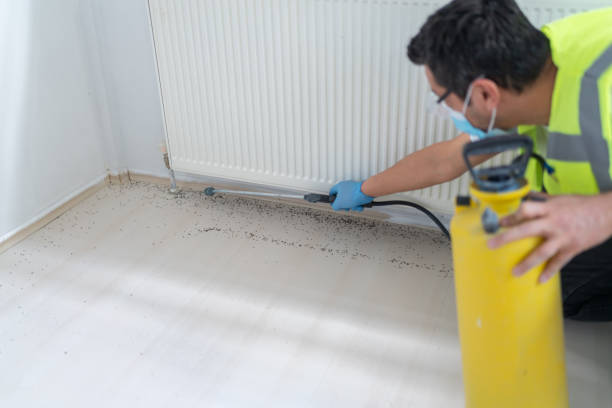 Best Emergency Pest Control  in Stacy, MN