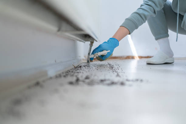 Wildlife Control Services in Stacy, MN